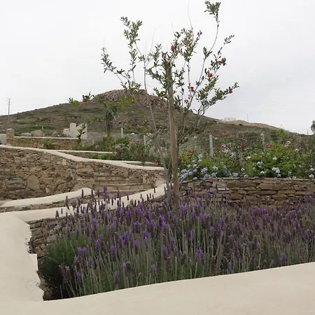 Kouros Art - Designed For Adults